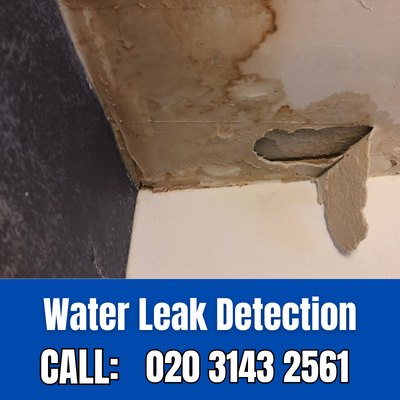 Expert Water Leak Detection Services in Eynsford | Eynsford Leak Detection